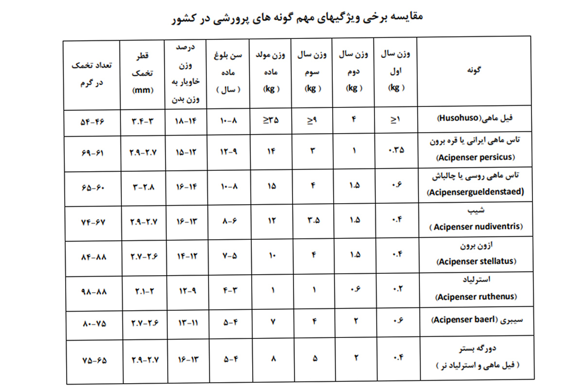 ماهیان خاویاری
