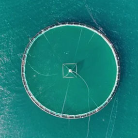 Aqua RKC aquaculture brand page